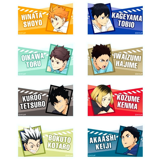 Set of 8 Haikyu!! Trading Name Button Receive [USED]