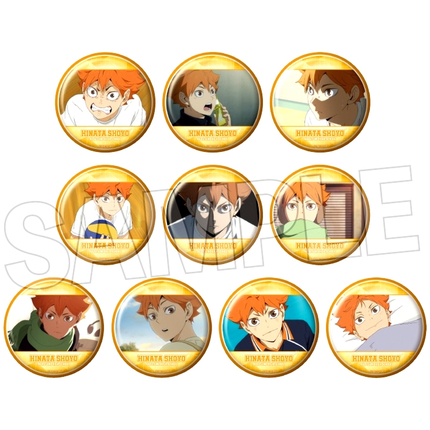 Set of 10 Haikyu!! Trading Button Shoyo Hinata BOX [USED]