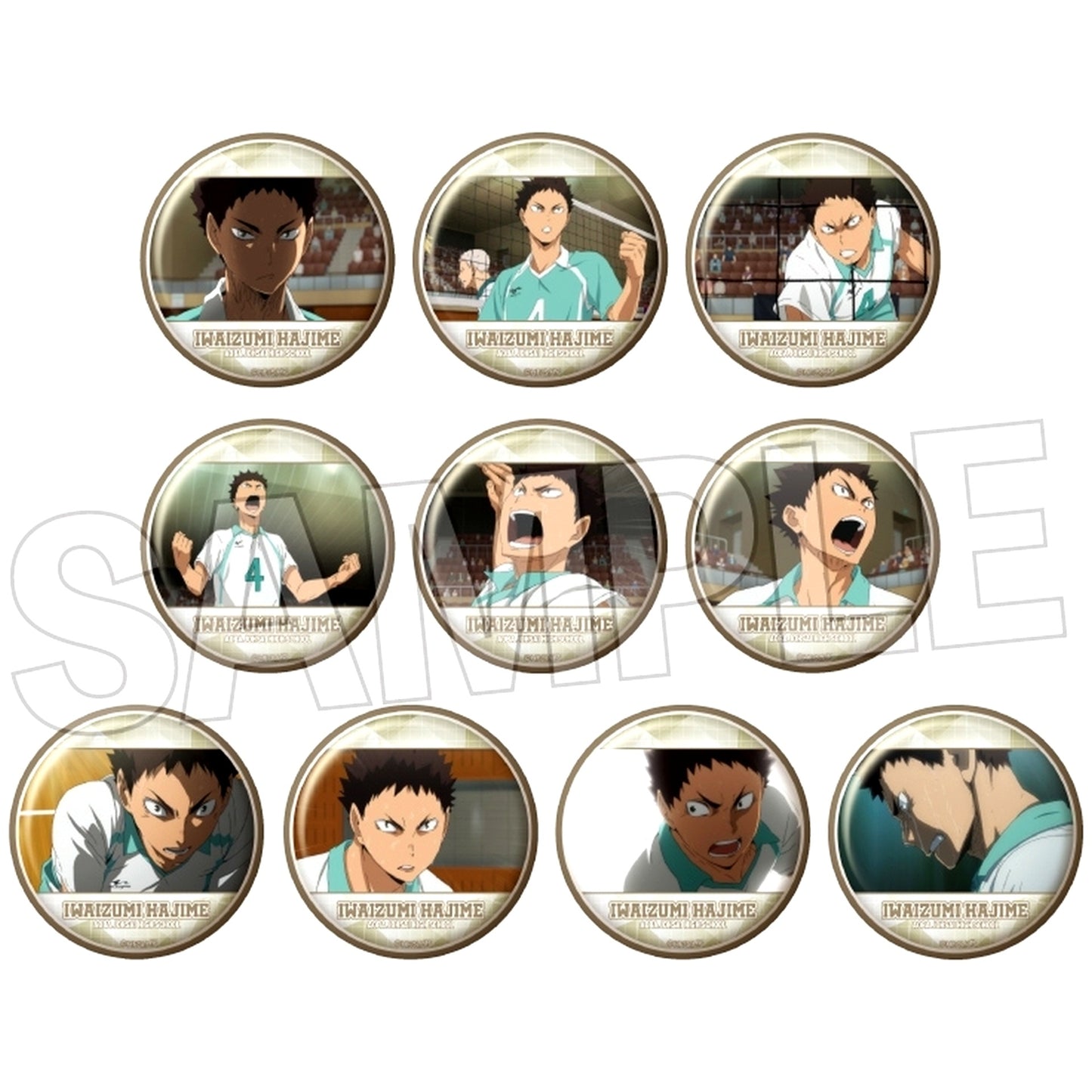 Set of 10 Haikyu!! Trading Button Hajime Iwaizumi BOX [USED]