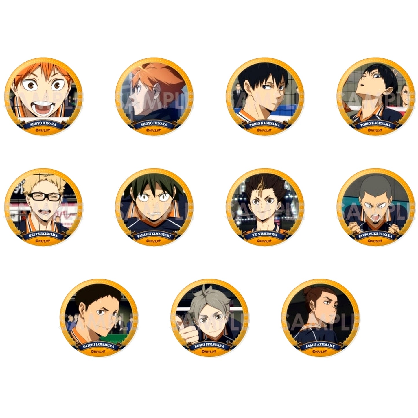 Set of 11 Haikyu!! Trading Button Karasuno Selection Vol. 2 [USED]