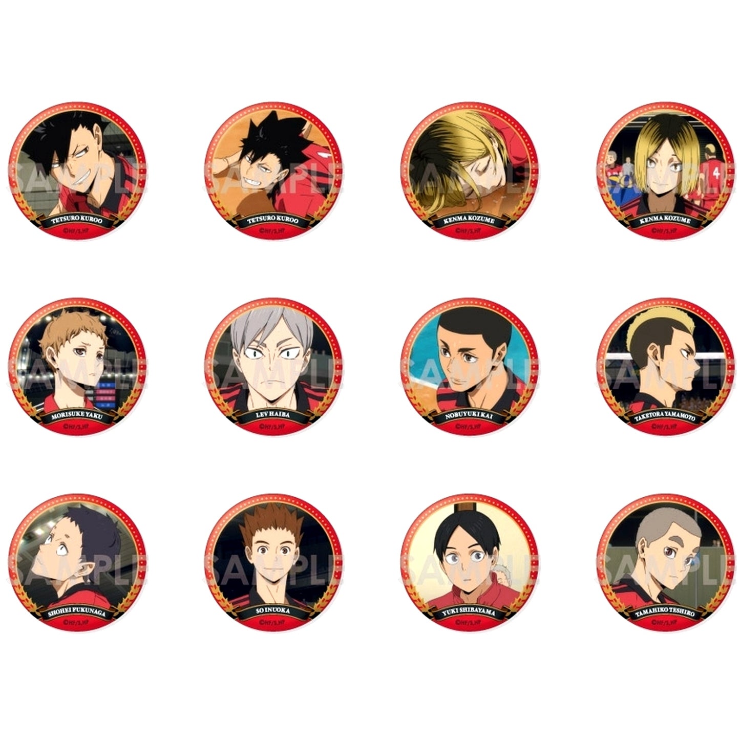 Set of 12 Haikyu!! Trading Button Nekoma Selection Vol. 2 [USED]