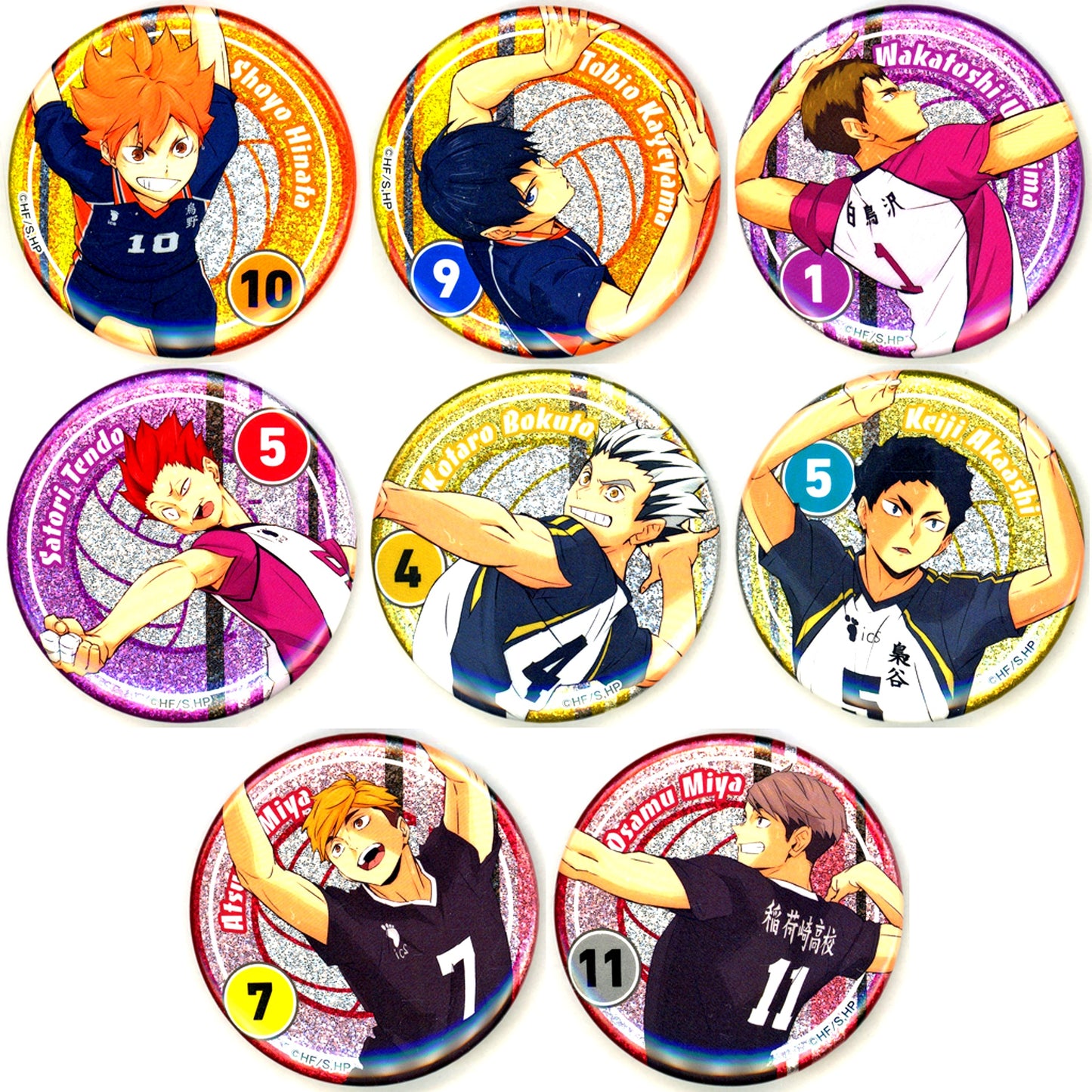 Set of 8 Haikyu!! Connecting Glitter Button sideA [USED]