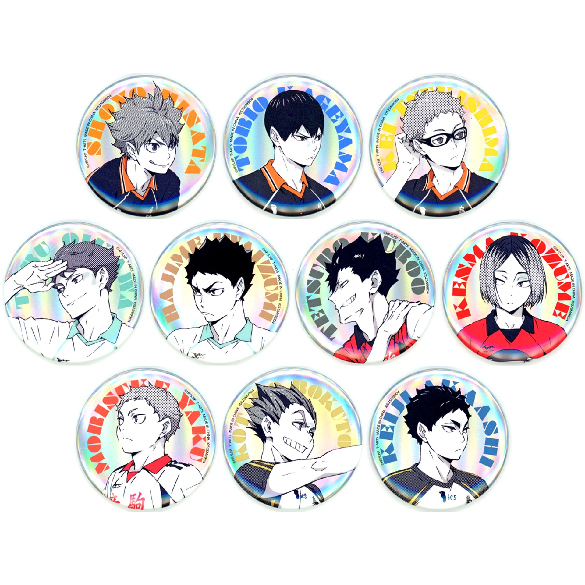 Set of 10 Haikyu!! Portrait Shiny Button [USED]