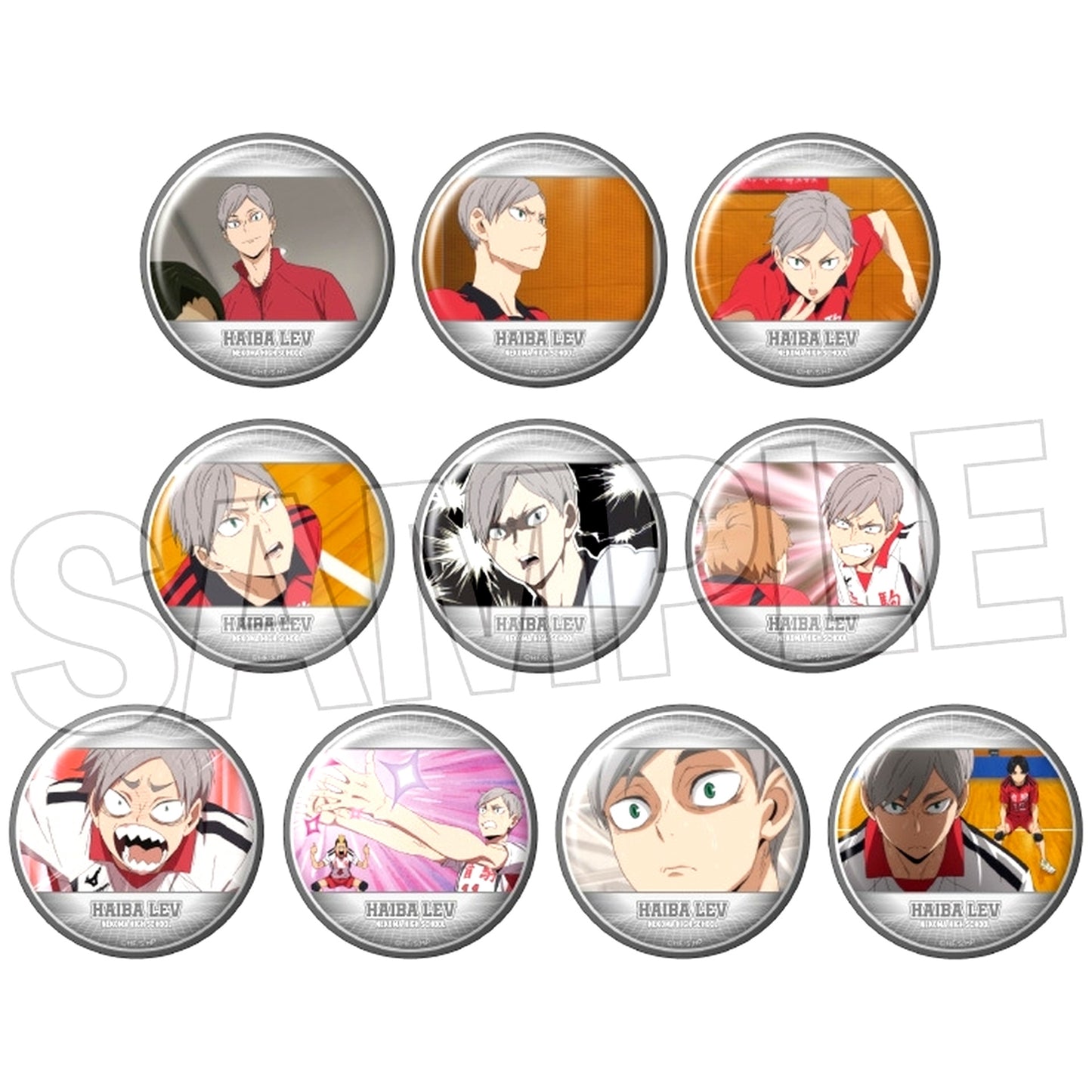 Set of 10 Lev Haiba Box Haikyu!! Trading Button 2 [USED]