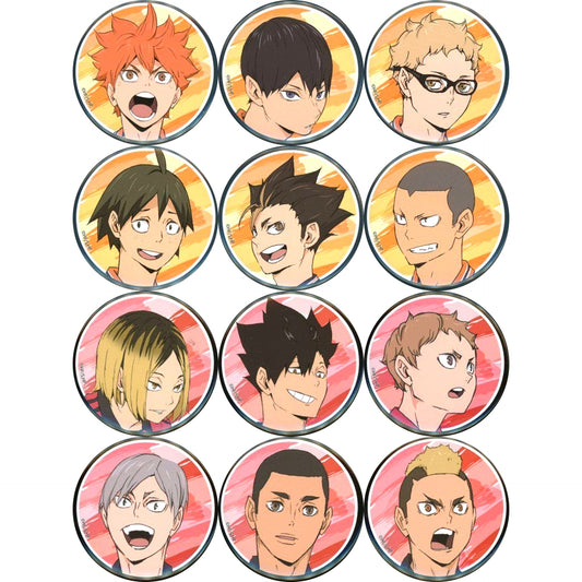 Set of 12 Haikyu!! Trading Button A [USED]