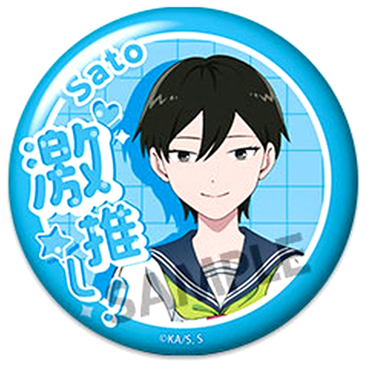 Aoi Sato You and I Are Polar Opposites Favorite Button Collection [USED]