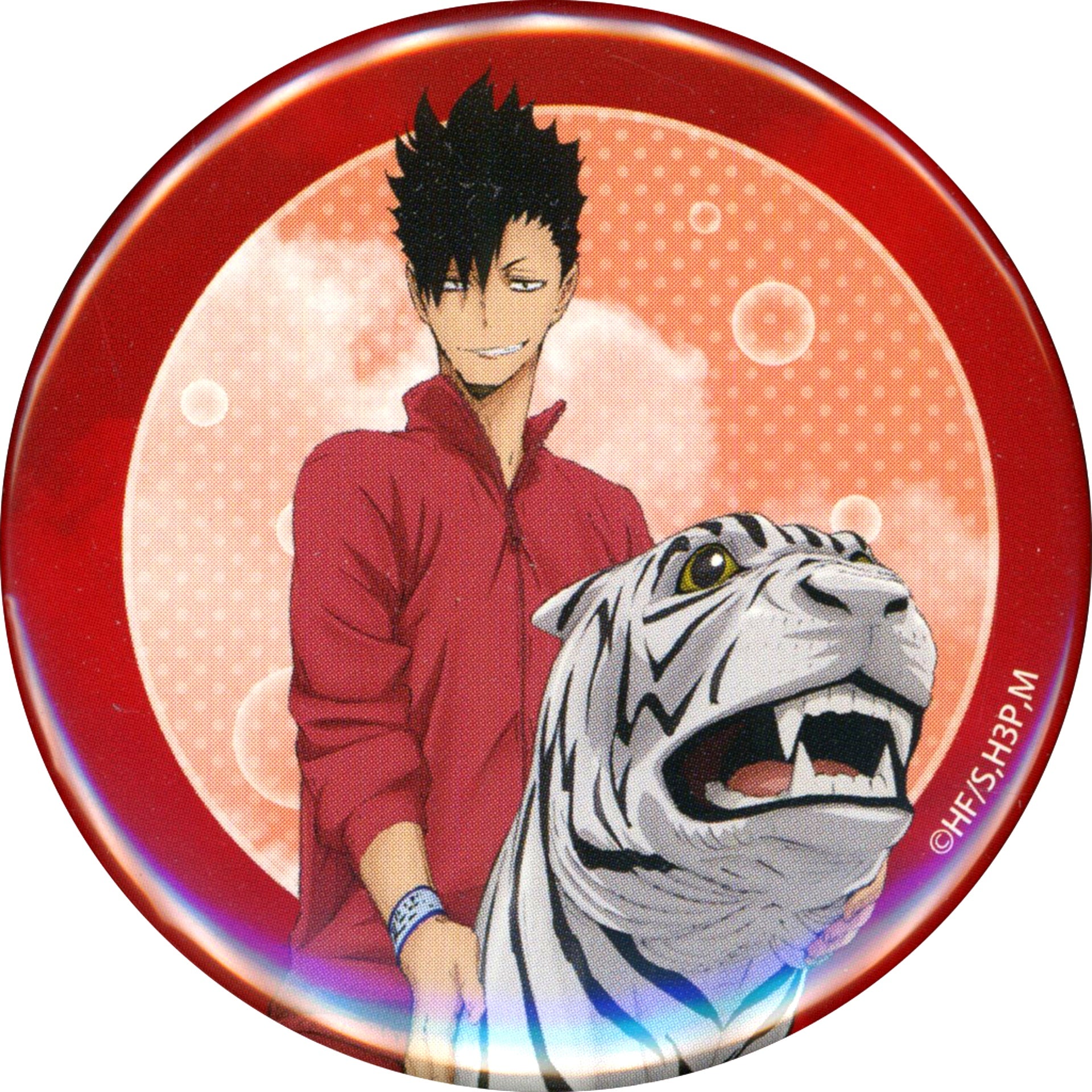 Tetsuro Kuroo Haikyu Character Badge Collection Asobe Tokyo Dome City [USED]