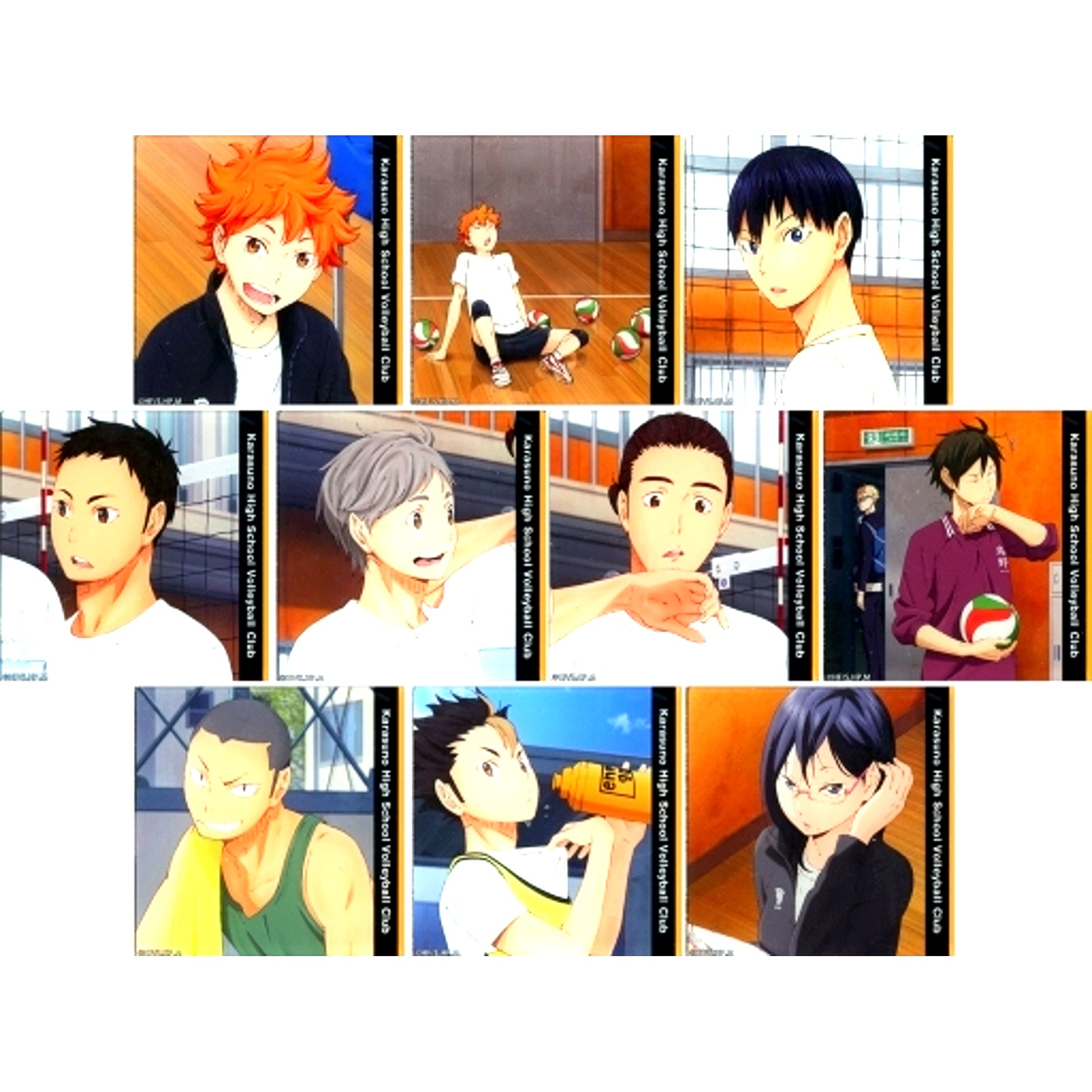 Set of 10 Haikyu!! Karasuno High School Volleyball Club Activity Log Acrylic Coaster [USED]