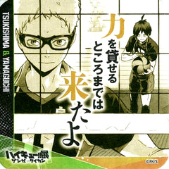 Kei Tsukishima and Tadashi Yamaguchi Haikyu!! Exhibition Genga x Taikan Youth Encouragement Coaster [USED]