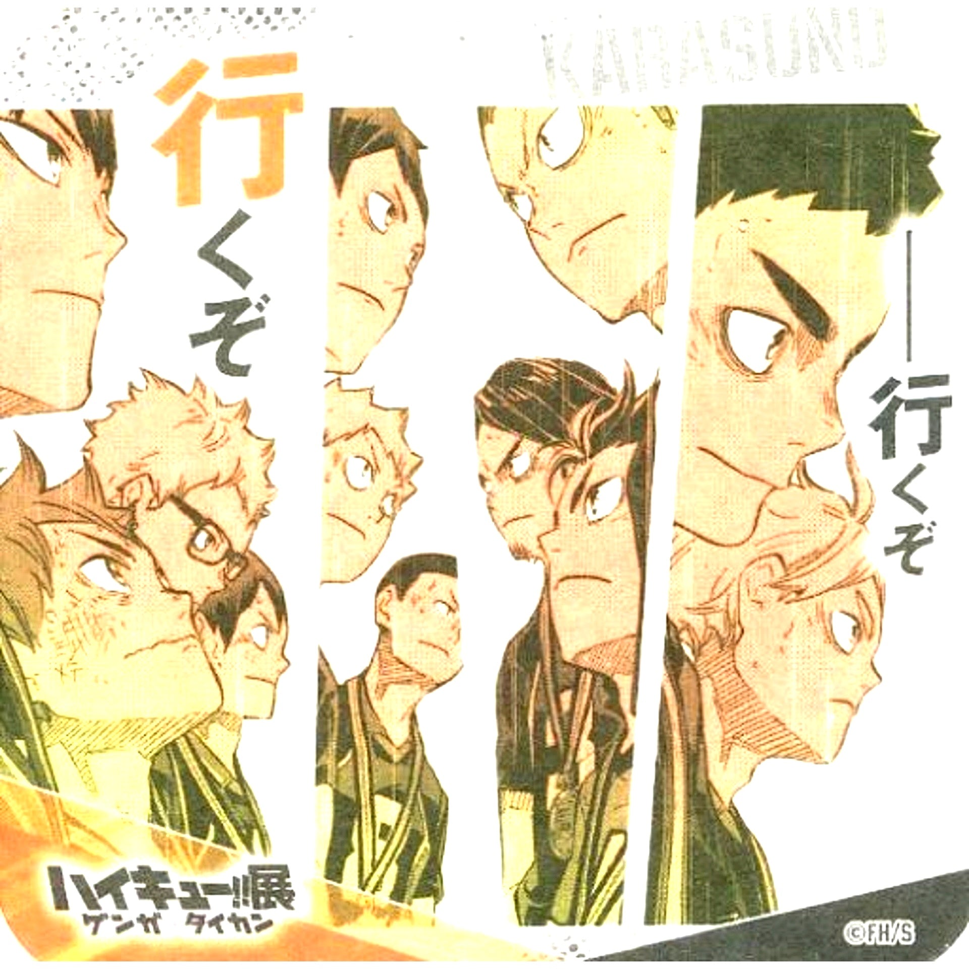 Karasuno High School Let's Go Haikyu!! Exhibition Genga x Taikan Youth Encouragement Coaster [USED]