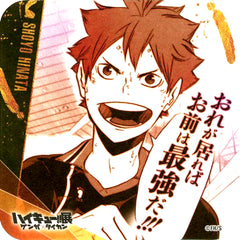Shoyo Hinata You Are the Strongest Haikyu!! Exhibition Genga x Taikan Youth Encouragement Coaster BOX Purchase Bonus [USED]