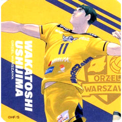 Wakatoshi Ushijima Character Color Haikyu!! Art Coaster V League Ver. [USED]
