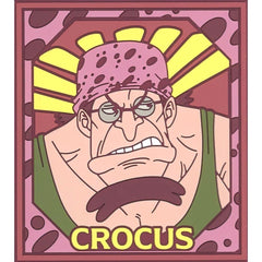 One Piece Crocus Ichiban Kuji Roger Pirates Legendary Pirate Rubber Coaster Rubber Assortment Prize J [USED]