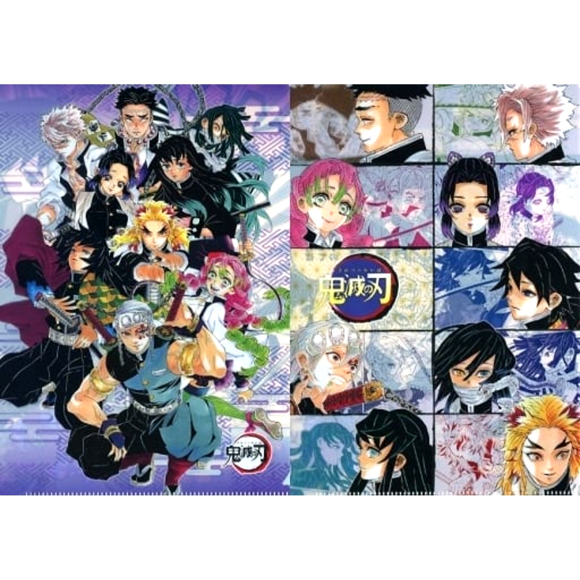 Set of 2 Group A5 Clear File Set Demon Slayer Koyoharu Gotouge Art Exhibition Single Item [USED]