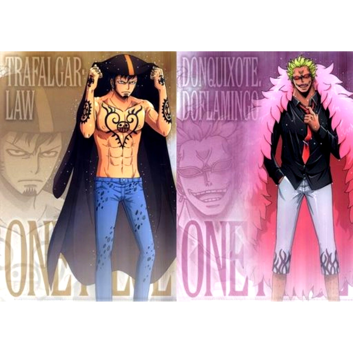 Set of 2 Law & Doflamingo A4 Clear File Set Men and Rain One Piece [USED]