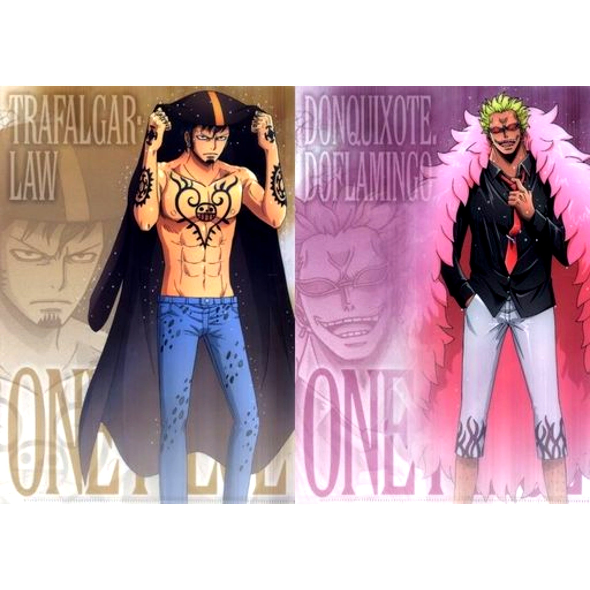 Set of 2 Law & Doflamingo A4 Clear File Set Men and Rain One Piece [USED]