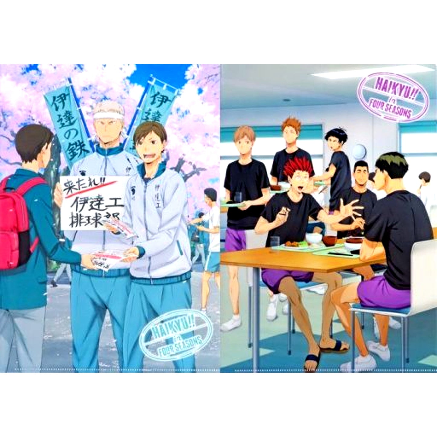 Set of 2 Date Tech & Shiratorizawa Spring Summer B Four Seasons Series Clear File Haikyu!! TBS MBS Ltd [USED]