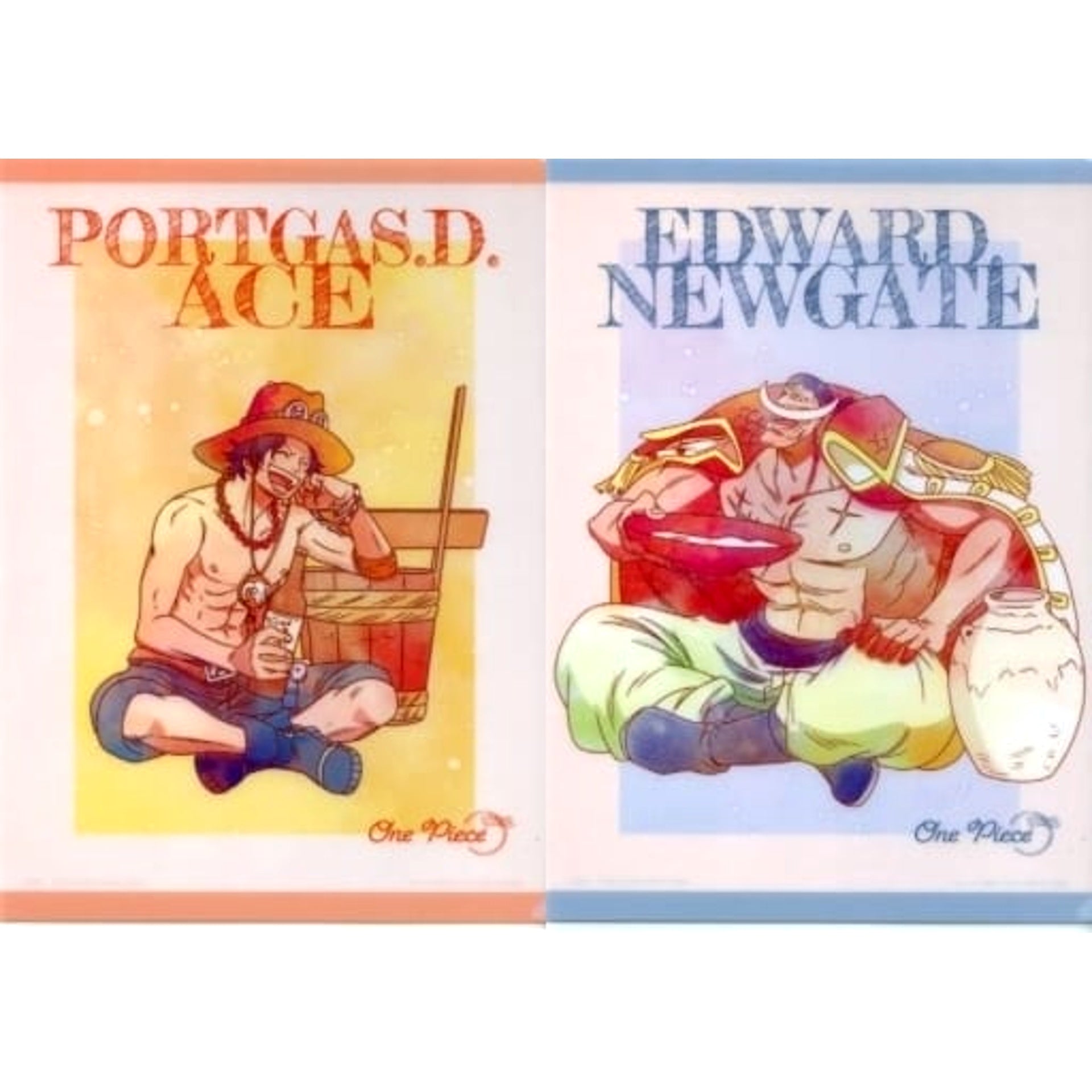 One Piece Portgas D. Ace Edward Newgate Ichiban Kuji Emotional Stories A4 File Folder Set Prize H [USED]