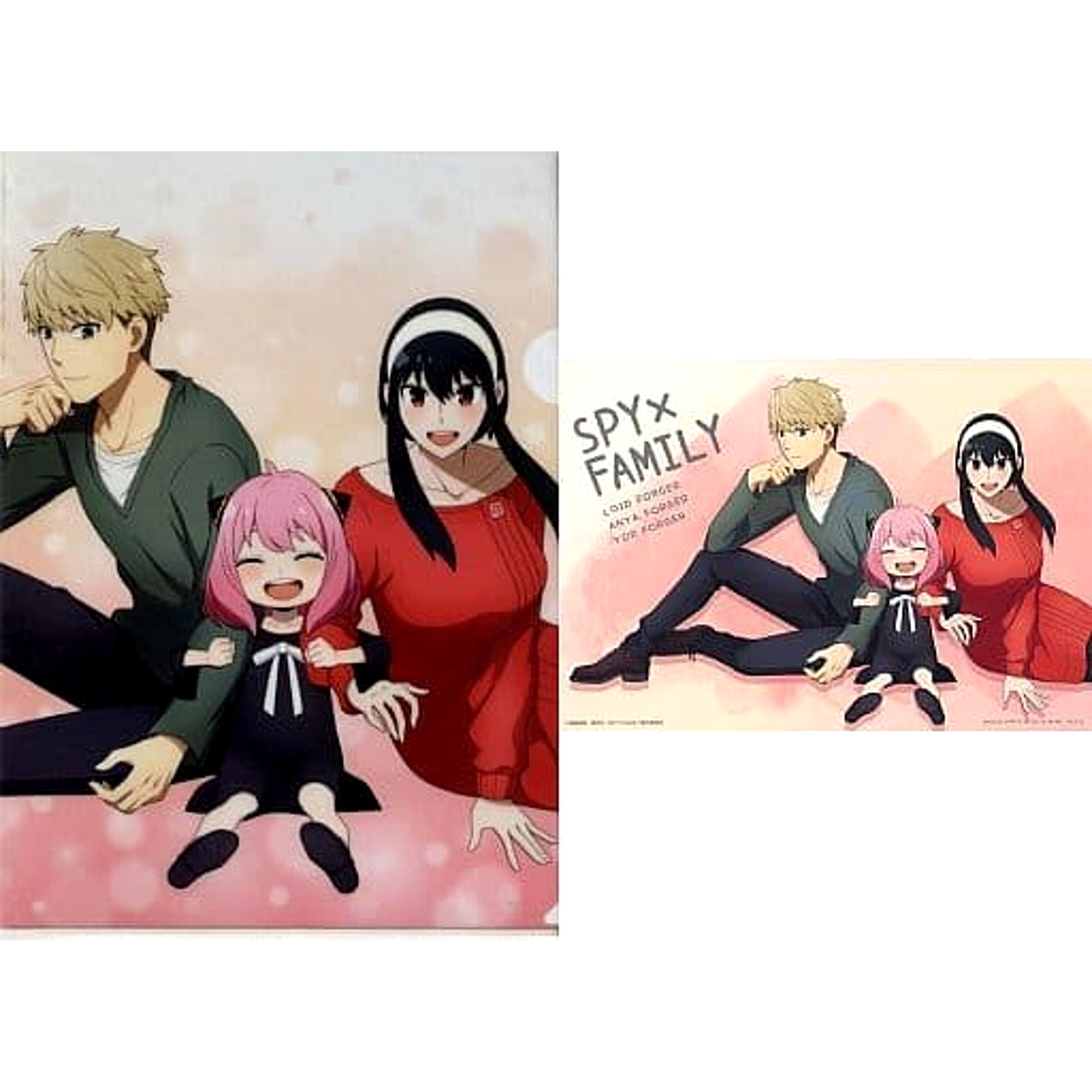 SPY x FAMILY Forger Family Wonderful Family Ichiban Kuji Lovely Ordinary Days A4 Clear File & Sticker Prize F-9 [USED]