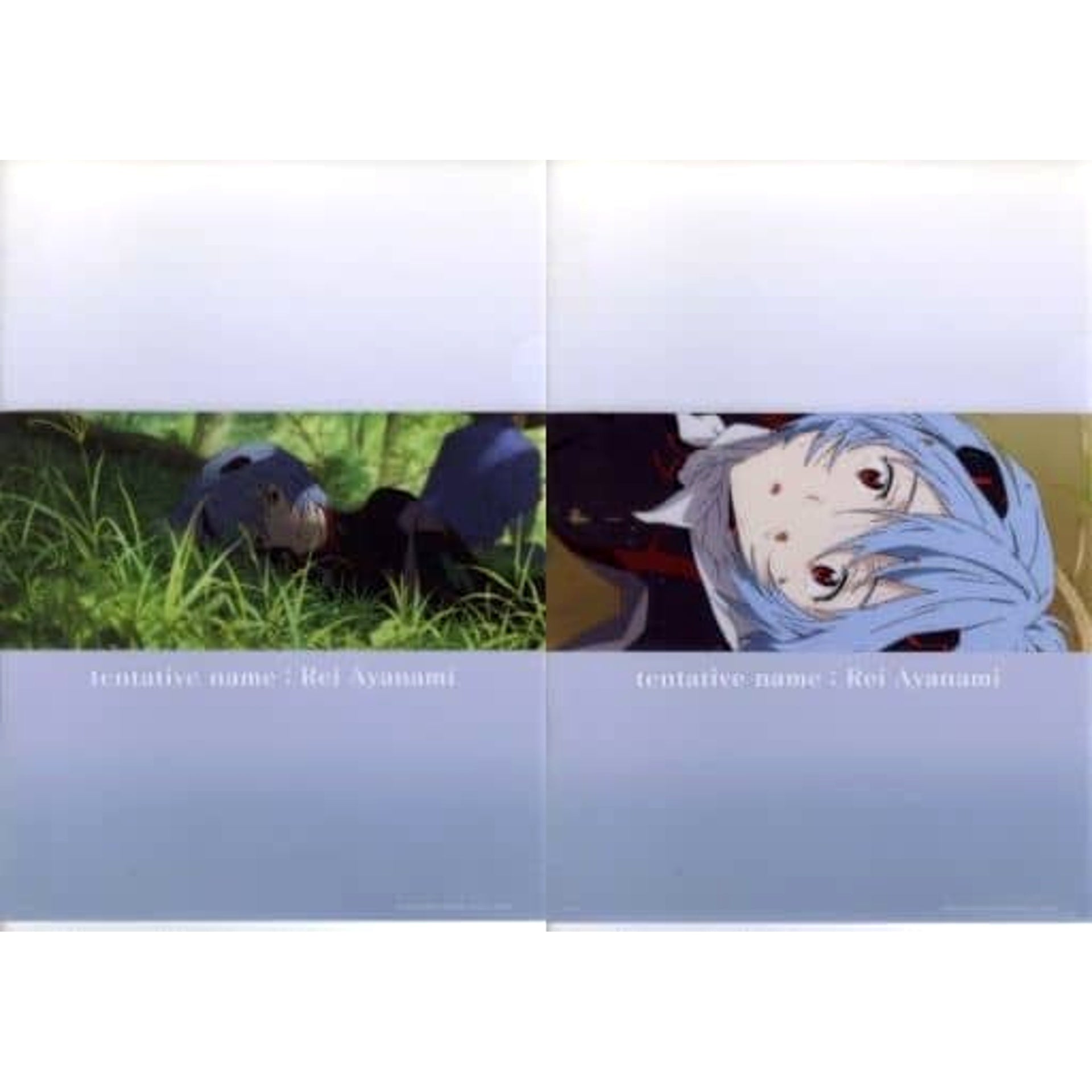 Evangelion Rei Ayanami Ichiban Kuji Eva Unit-01, Roar! A4 File Folder Set Prize H [USED]