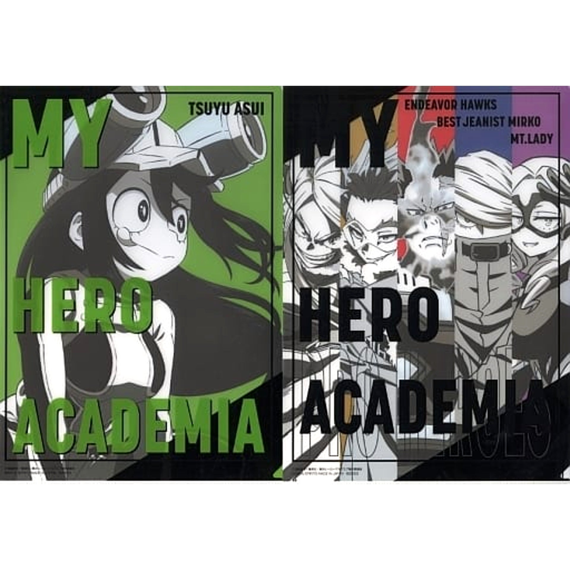 My Hero Academia Tsuyu Asui & Others Ichiban Kuji Determination A4 File Folder Set Prize G [USED]