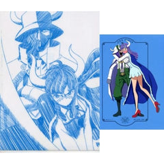 One Piece Ulti Page One Ichiban Kuji Ryoyoku Kessen A4 Clear File & Sticker Prize G [USED]
