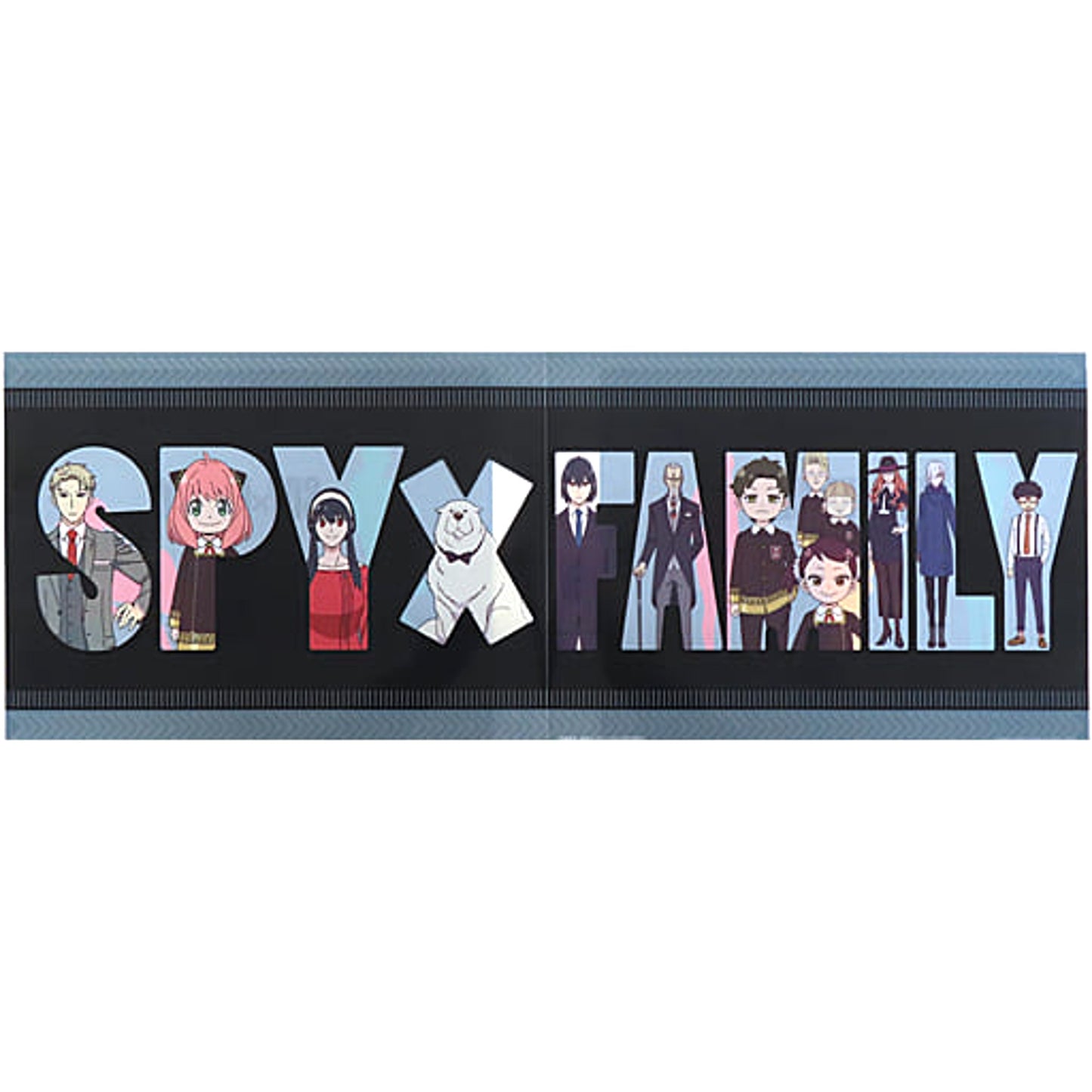 SPY x FAMILY Ichiban Kuji You Made My Day A4 Wide Clear File Prize G [USED]