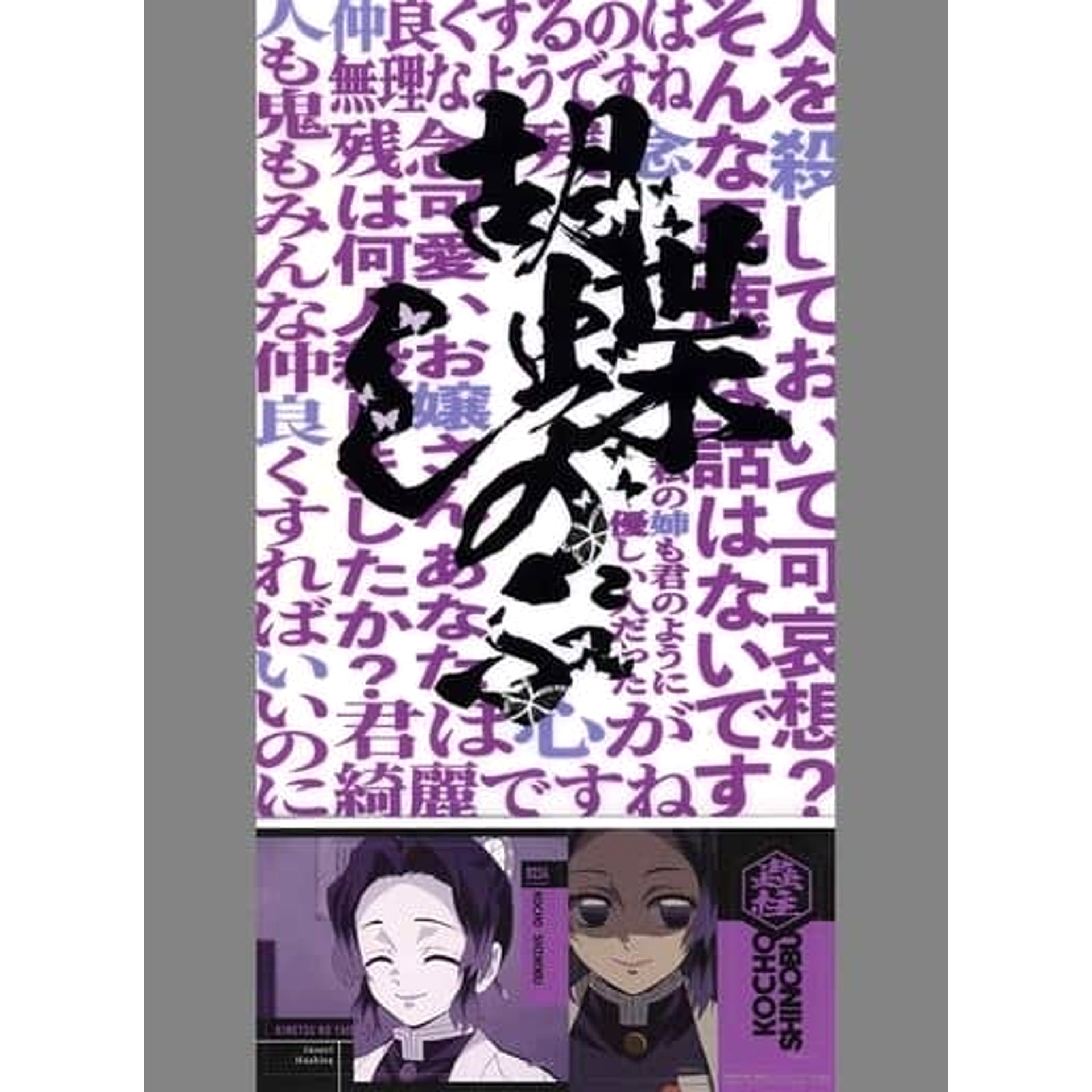 Demon Slayer: Kimetsu no Yaiba Shinobu Kocho Ichiban Kuji Fumetsu No Kizuna A4 Clear File & Sticker Set Prize F [USED]