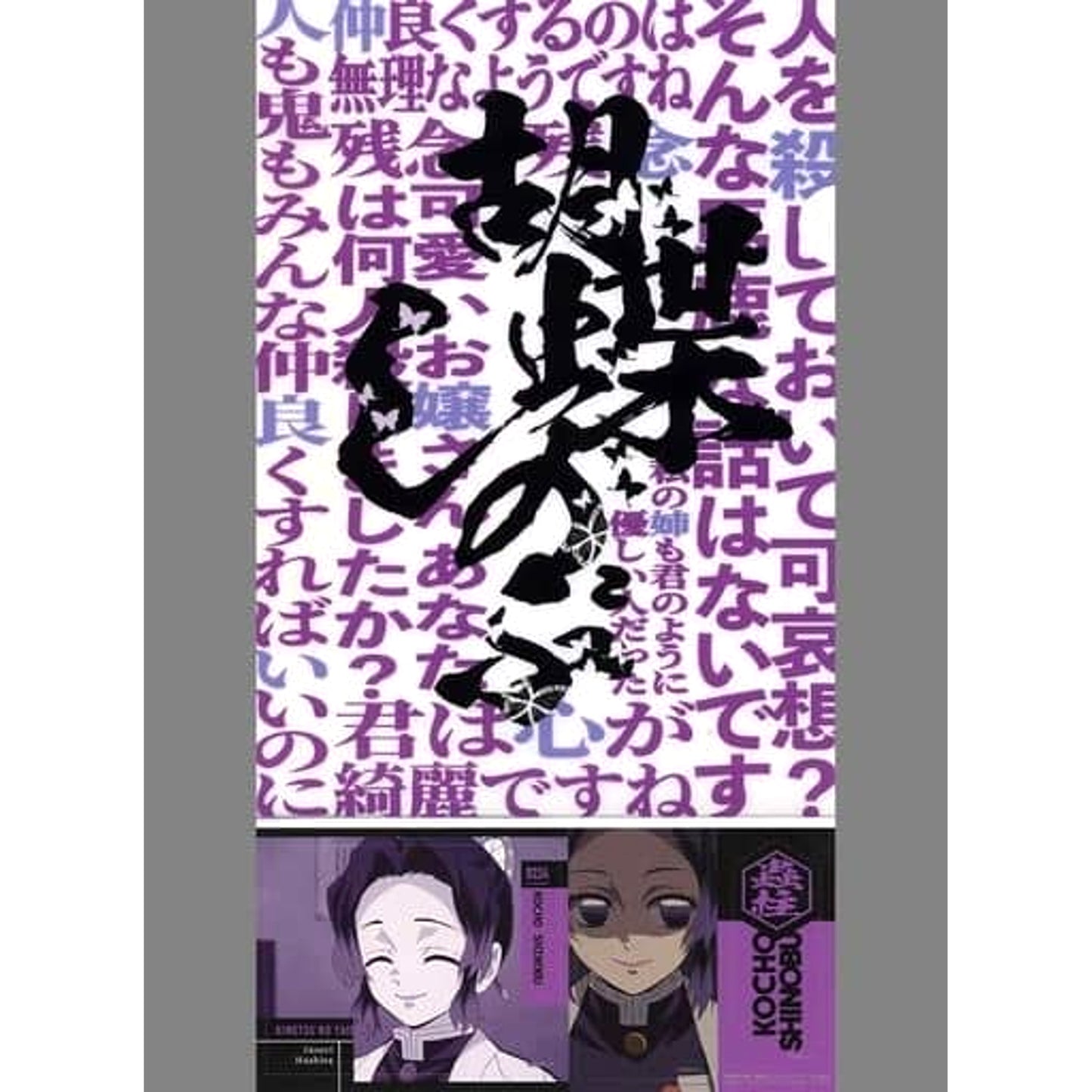 Demon Slayer: Kimetsu no Yaiba Shinobu Kocho Ichiban Kuji Fumetsu No Kizuna A4 Clear File & Sticker Set Prize F [USED]