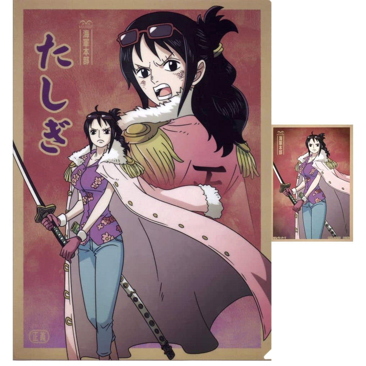 One Piece Tashigi Ichiban Kuji Absolute Justice A4 Clear File & Sticker Prize G [USED]