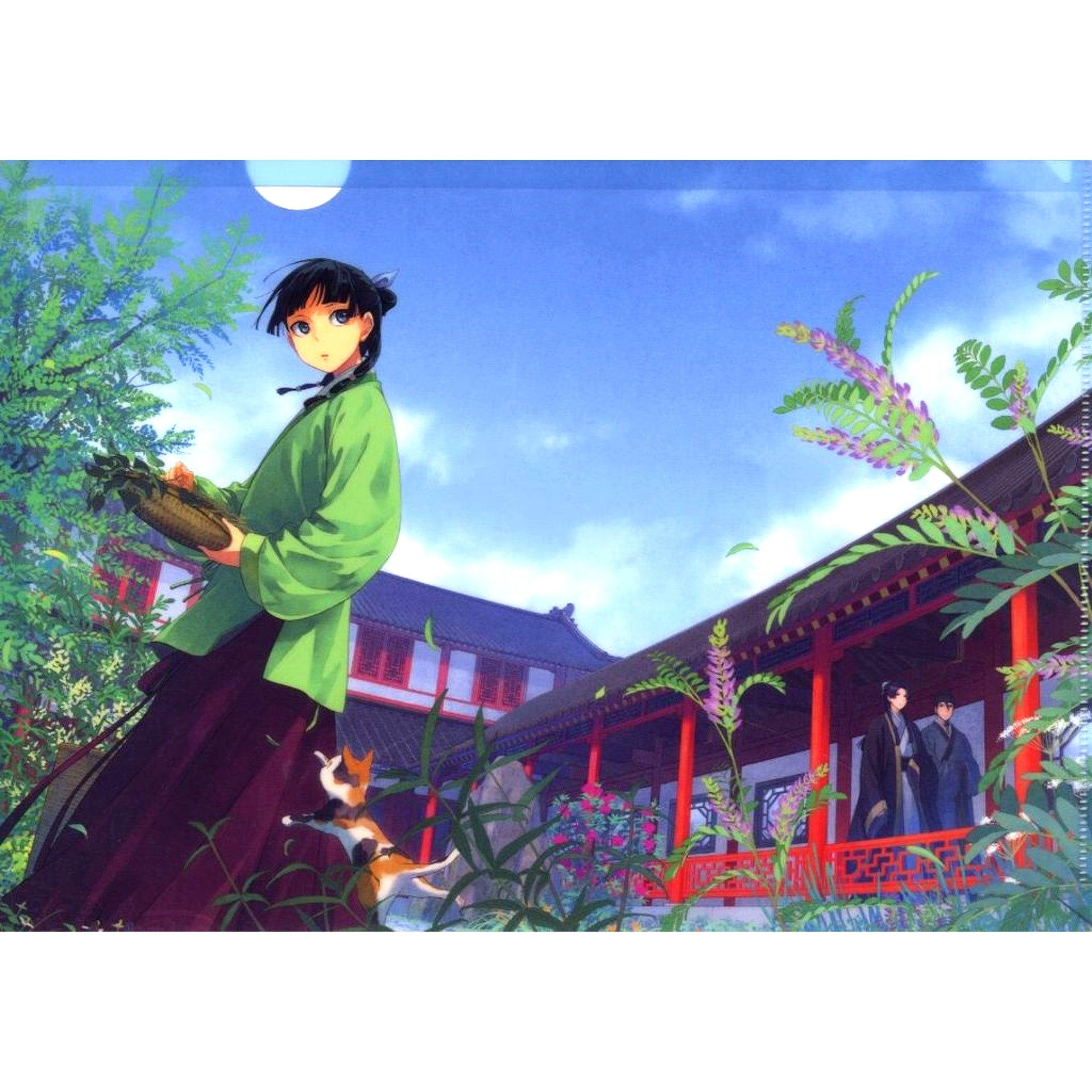 Group Cover Illustration A4 Clear File The Apothecary Diaries Artbook Animate Bonus Item [USED]