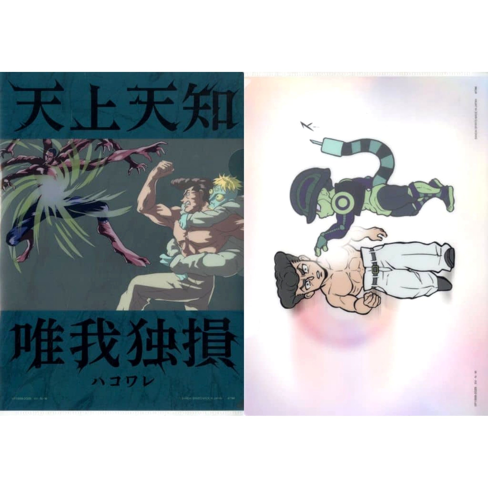 Hunter x Hunter Morel Shaiapouf Cheetu Ichiban Kuji Chimera Ant 2 Stationery Assortment Clear File Prize H [USED]
