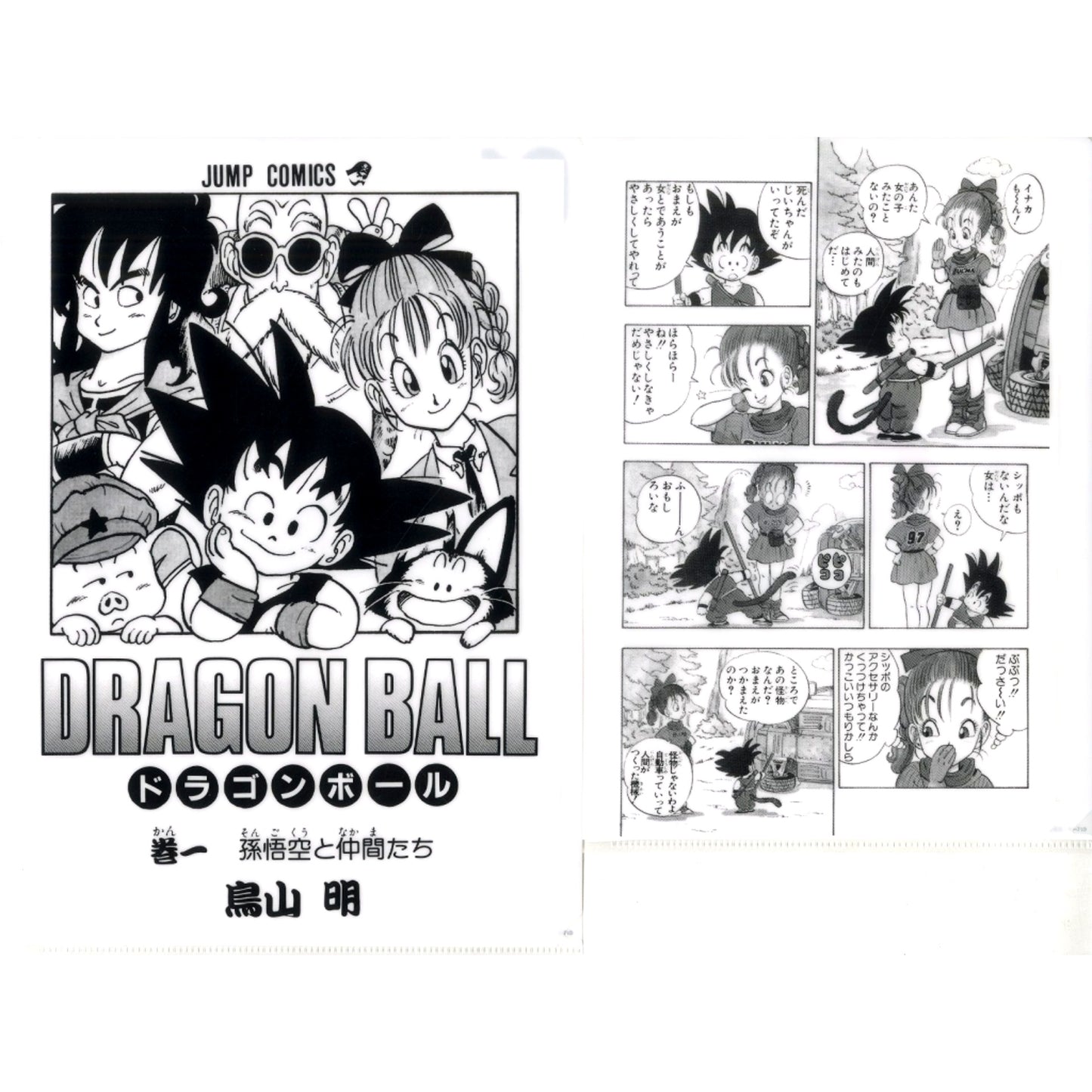 G Prize Vol.1 Comics Clear File Set Vol.1-21 Ichiban Kuji Dragon Ball 40th Part 1 [USED]