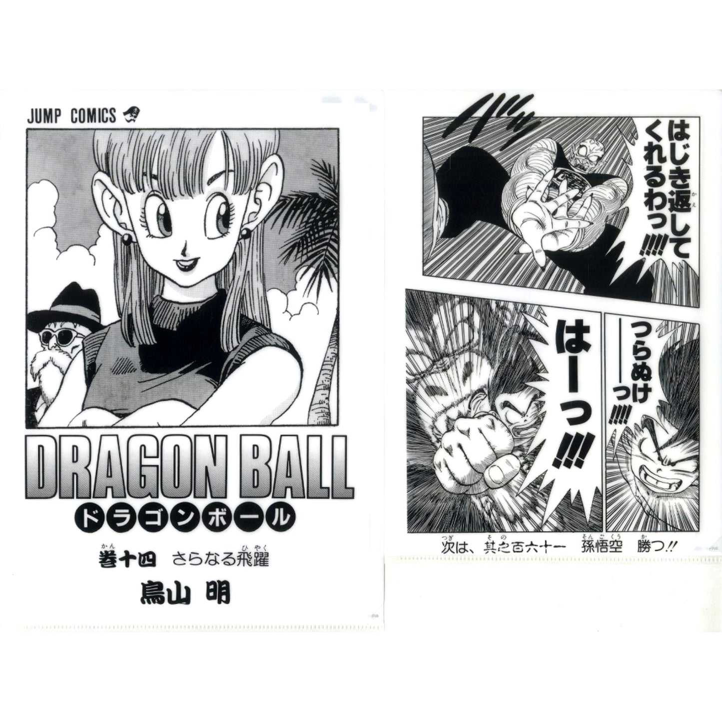 Vol. 14 Comics Clear File Set Vol. 1 to Vol. 21 Ichiban Kuji Dragon Ball 40th Part 1 Prize G [USED]