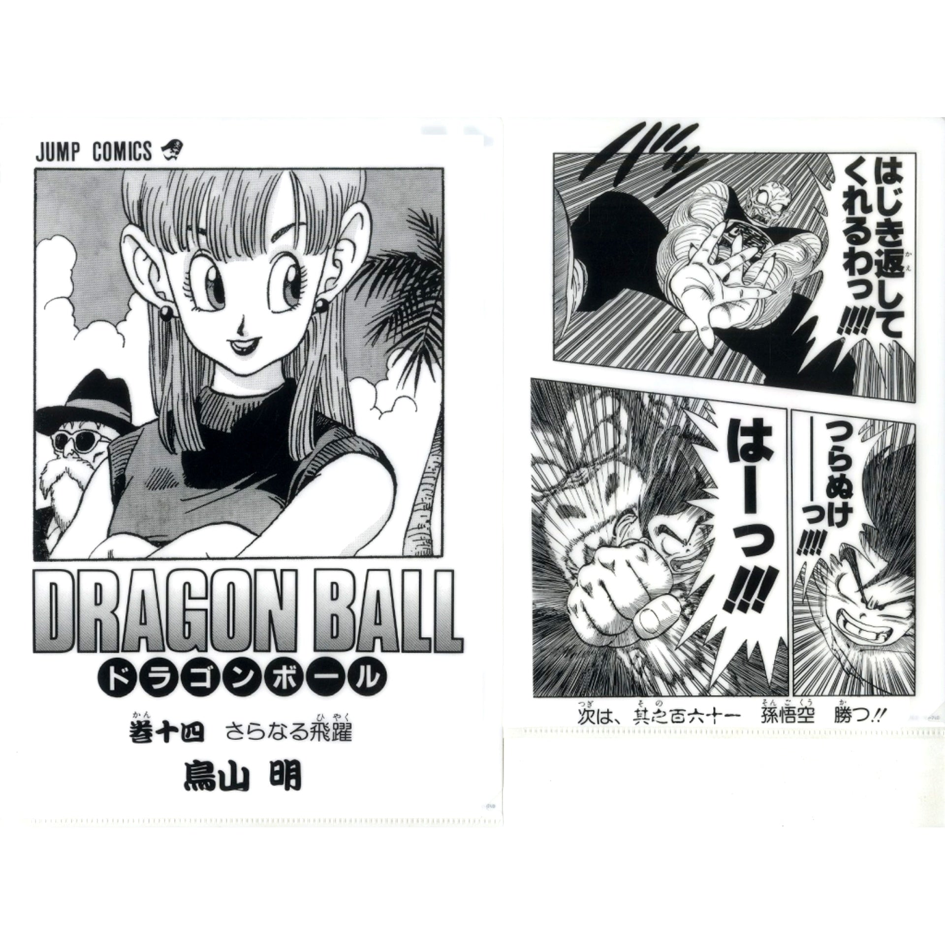 Vol. 14 Comics Clear File Set Vol. 1 to Vol. 21 Ichiban Kuji Dragon Ball 40th Part 1 Prize G [USED]