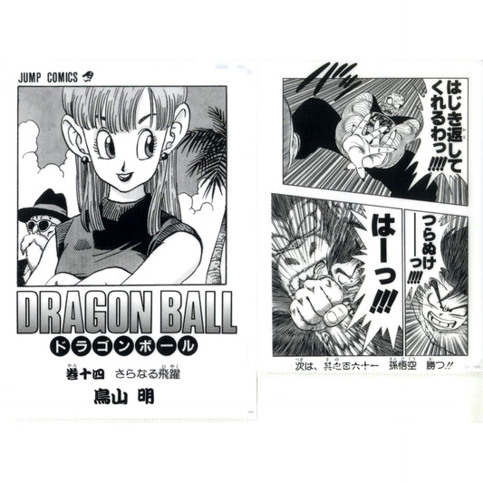 Vol. 14 Comics Clear File Set Vol. 1 to Vol. 21 Ichiban Kuji Dragon Ball 40th Part 1 Prize G [USED]