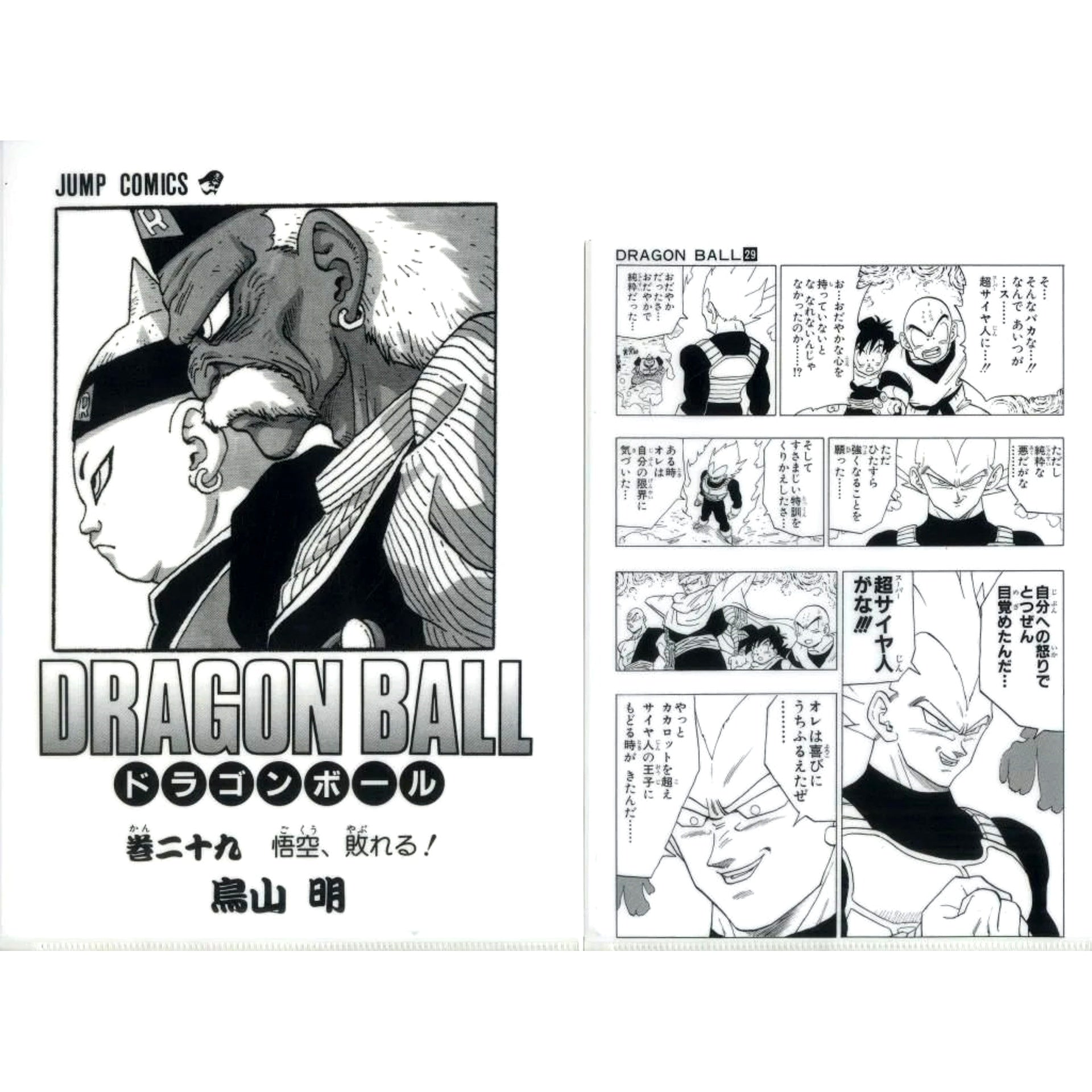 Vol. 29 Comics Clear File Set Vol. 22 to Vol. 42 Ichiban Kuji Dragon Ball 40th Part 2 Prize G [USED]
