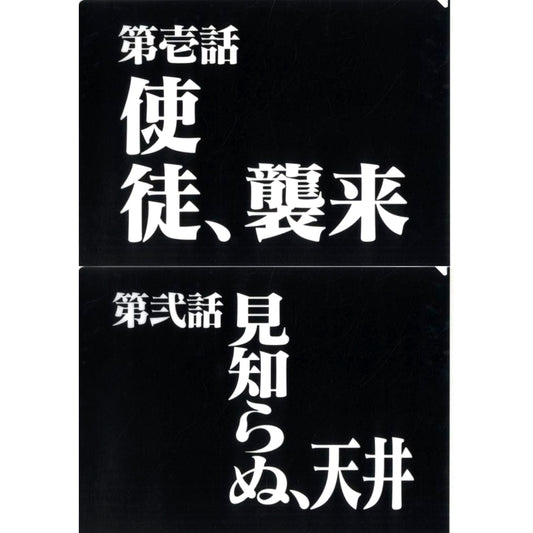 Episode 1 and Episode 2 Clear File Set Ichiban Kuji Neon Genesis Evangelion 30th Anniv Prize G [USED]