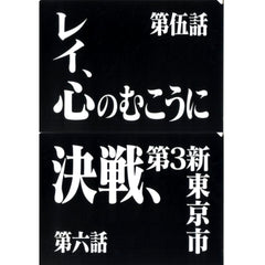 Episode 5 and Episode 6 Clear File Set Ichiban Kuji Neon Genesis Evangelion 30th Anniv Prize G [USED]