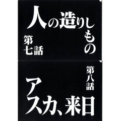 Episode 7 and Episode 8 Clear File Set Ichiban Kuji Neon Genesis Evangelion 30th Anniv Prize G [USED]