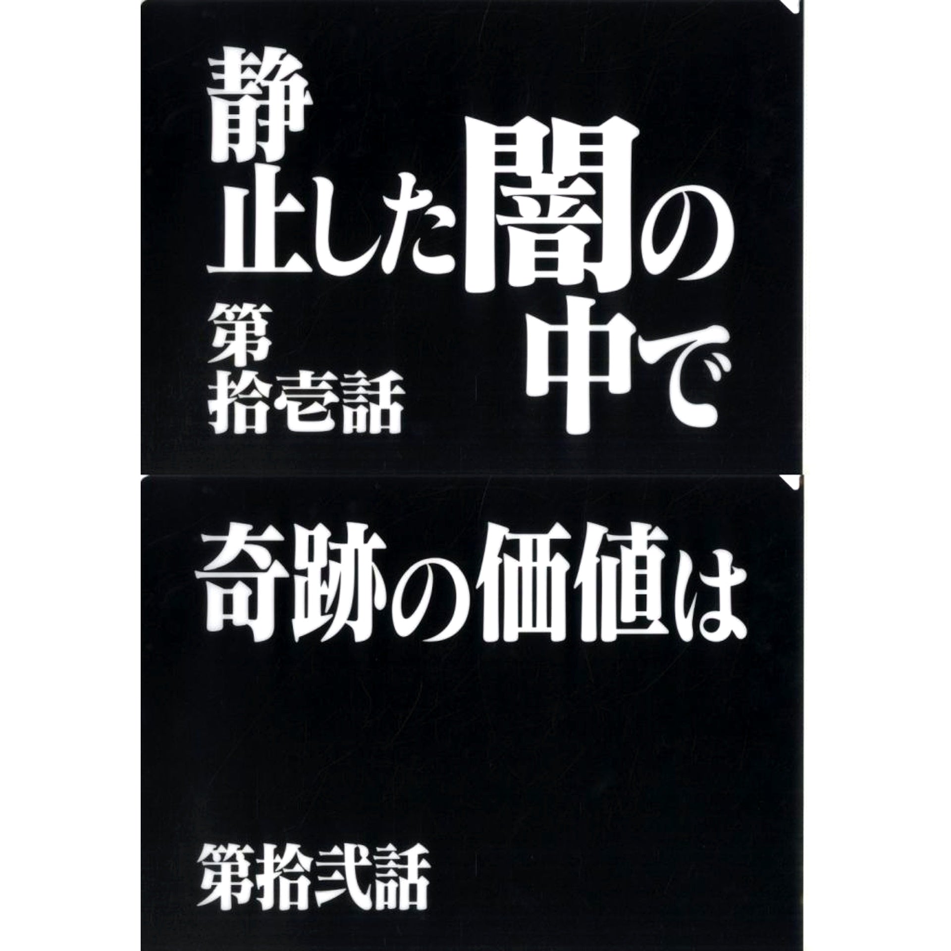 Episode 11 and Episode 12 Clear File Set Ichiban Kuji Neon Genesis Evangelion 30th Anniv Prize G [USED]
