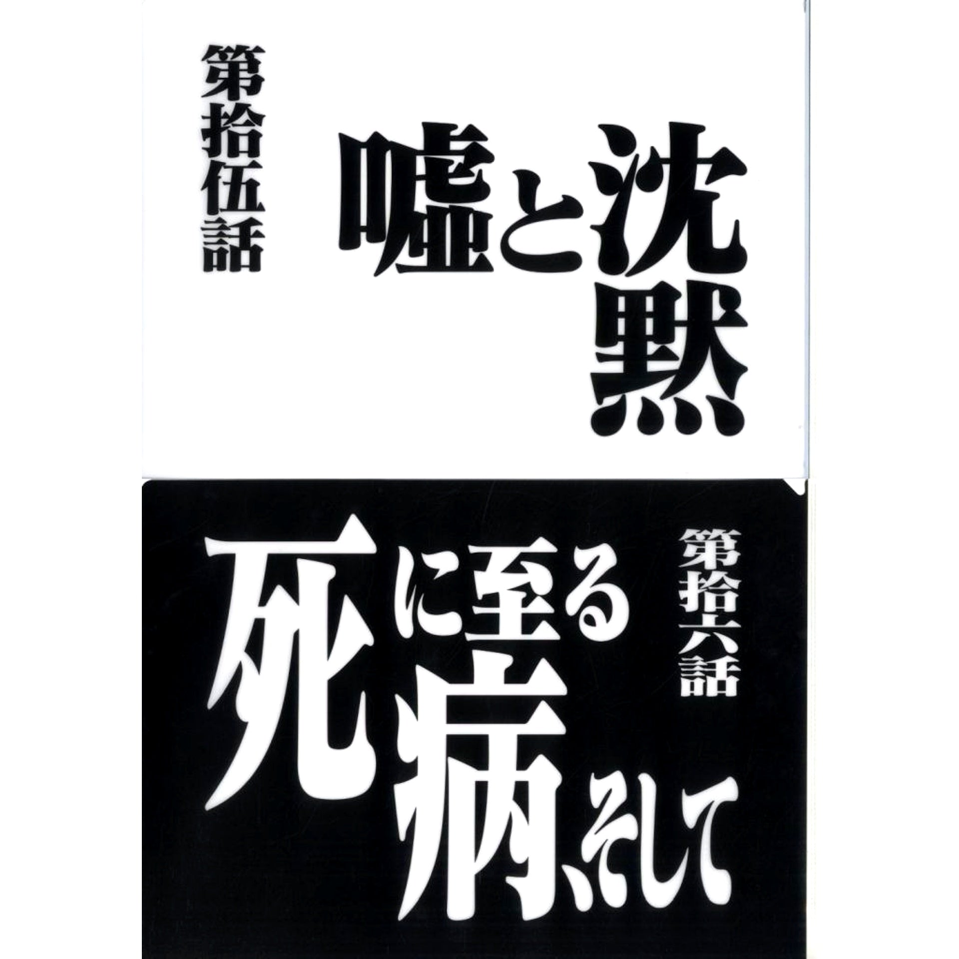 Episode 15 and Episode 16 Clear File Set Ichiban Kuji Neon Genesis Evangelion 30th Anniv Prize G [USED]