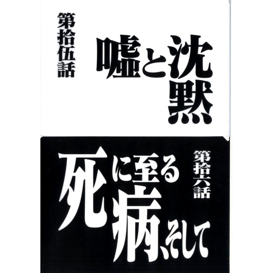 Episode 15 and Episode 16 Clear File Set Ichiban Kuji Neon Genesis Evangelion 30th Anniv Prize G [USED]