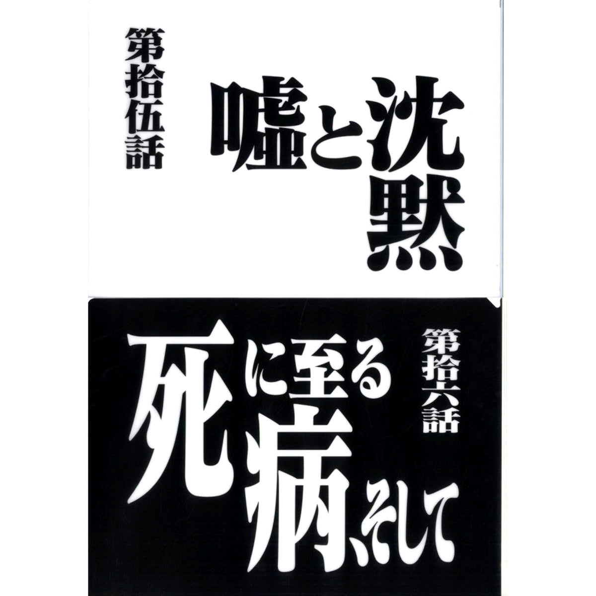 Episode 15 and Episode 16 Clear File Set Ichiban Kuji Neon Genesis Evangelion 30th Anniv Prize G [USED]