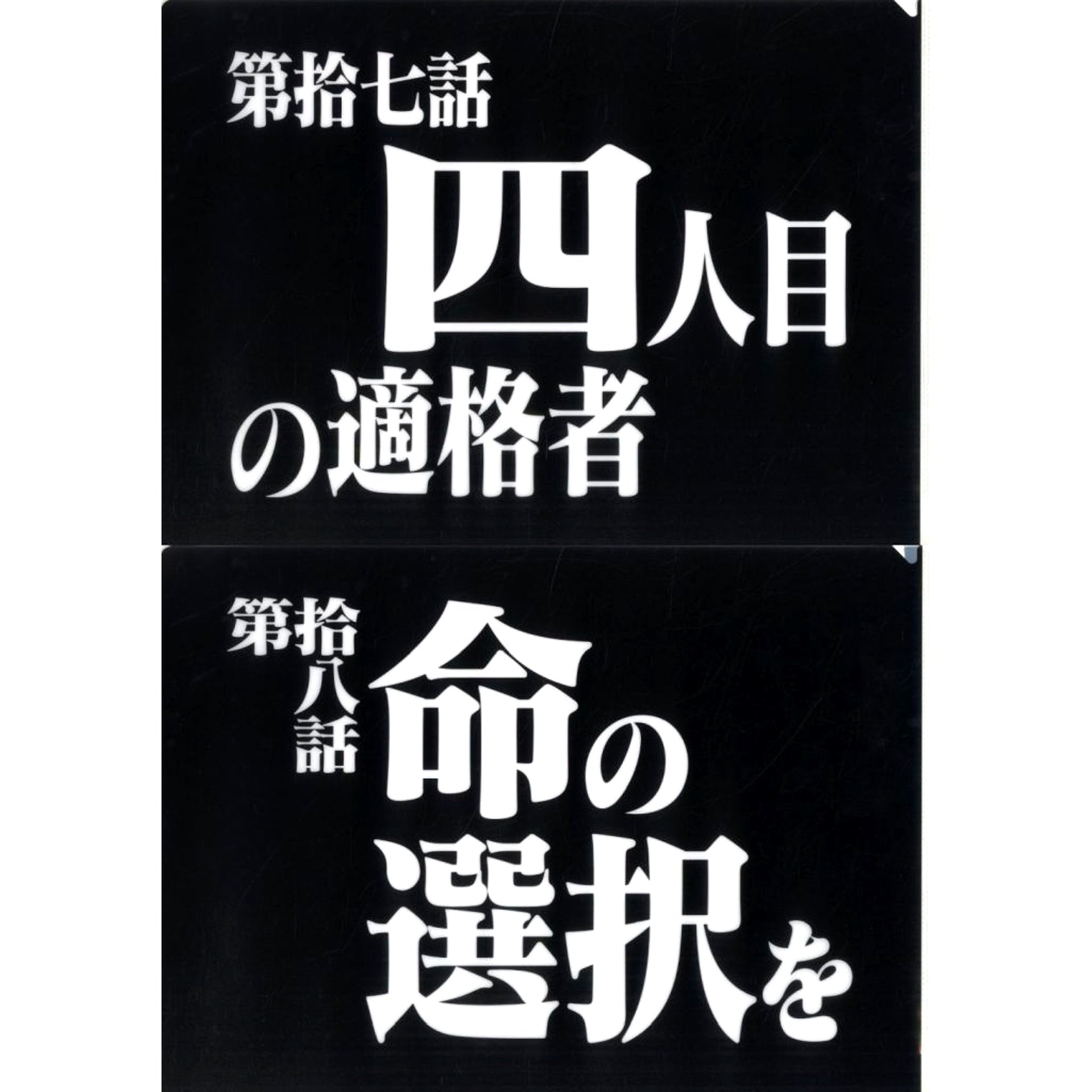Episode 17 and Episode 18 Clear File Set Ichiban Kuji Neon Genesis Evangelion 30th Anniv Prize G [USED]