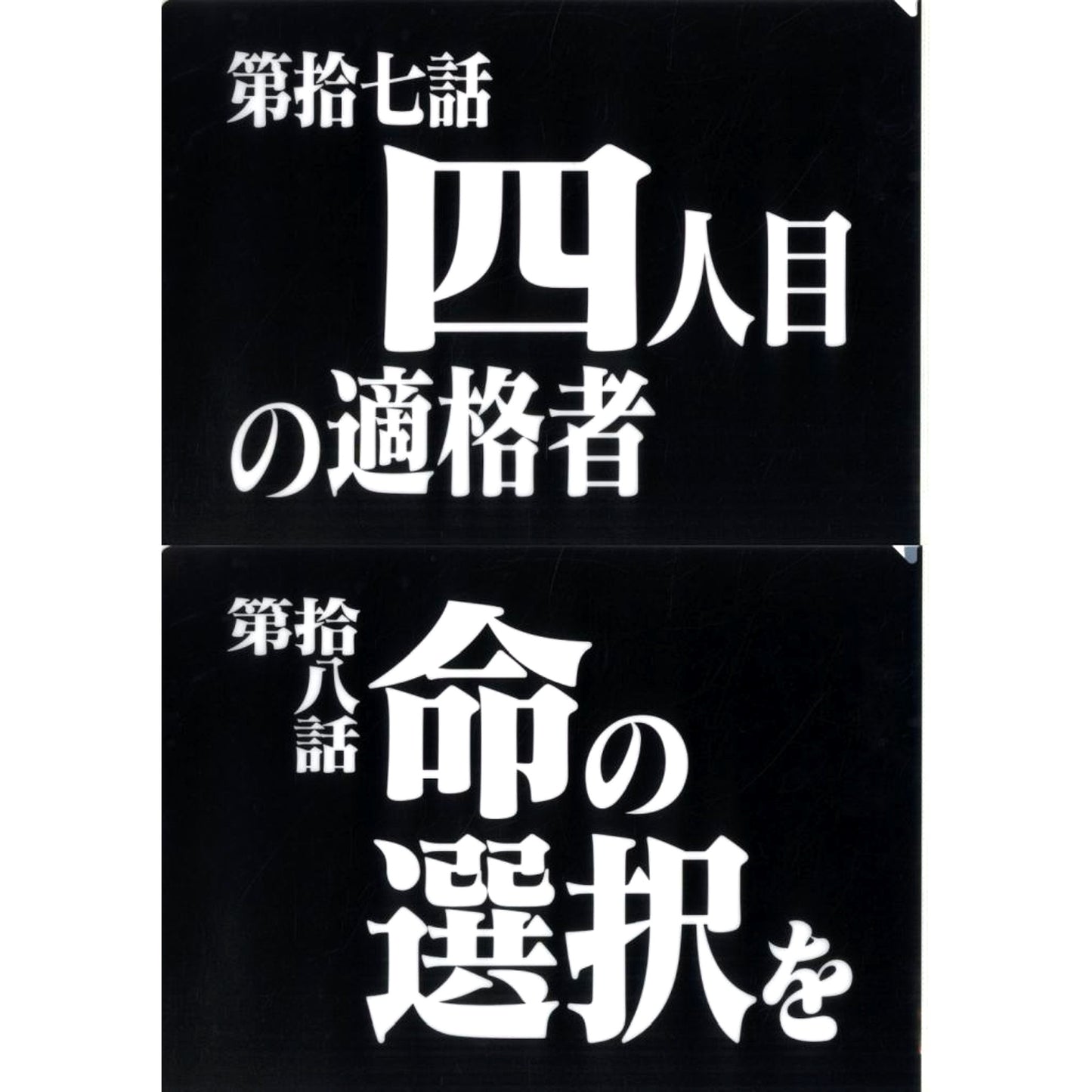 Episode 17 and Episode 18 Clear File Set Ichiban Kuji Neon Genesis Evangelion 30th Anniv Prize G [USED]
