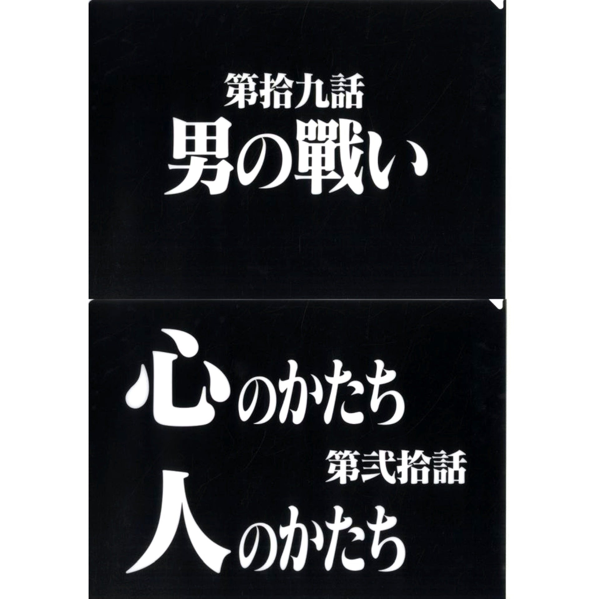 Episode 19 and Episode 20 Clear File Set Ichiban Kuji Neon Genesis Evangelion 30th Anniv Prize G [USED]