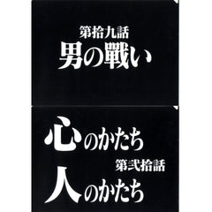 Episode 19 and Episode 20 Clear File Set Ichiban Kuji Neon Genesis Evangelion 30th Anniv Prize G [USED]