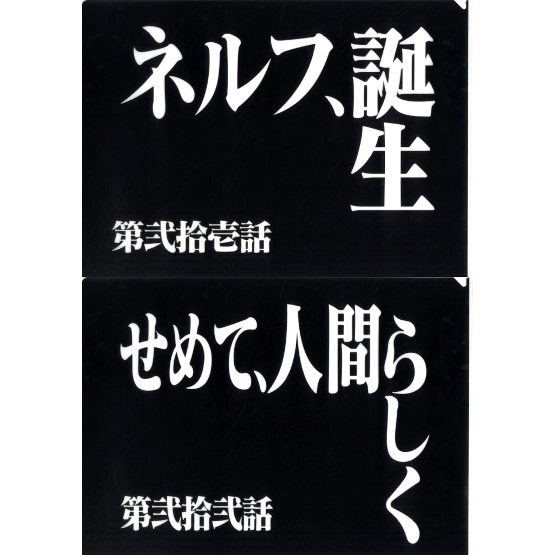 Episode 21 and Episode 22 Clear File Set Ichiban Kuji Neon Genesis Evangelion 30th Anniv Prize G [USED]