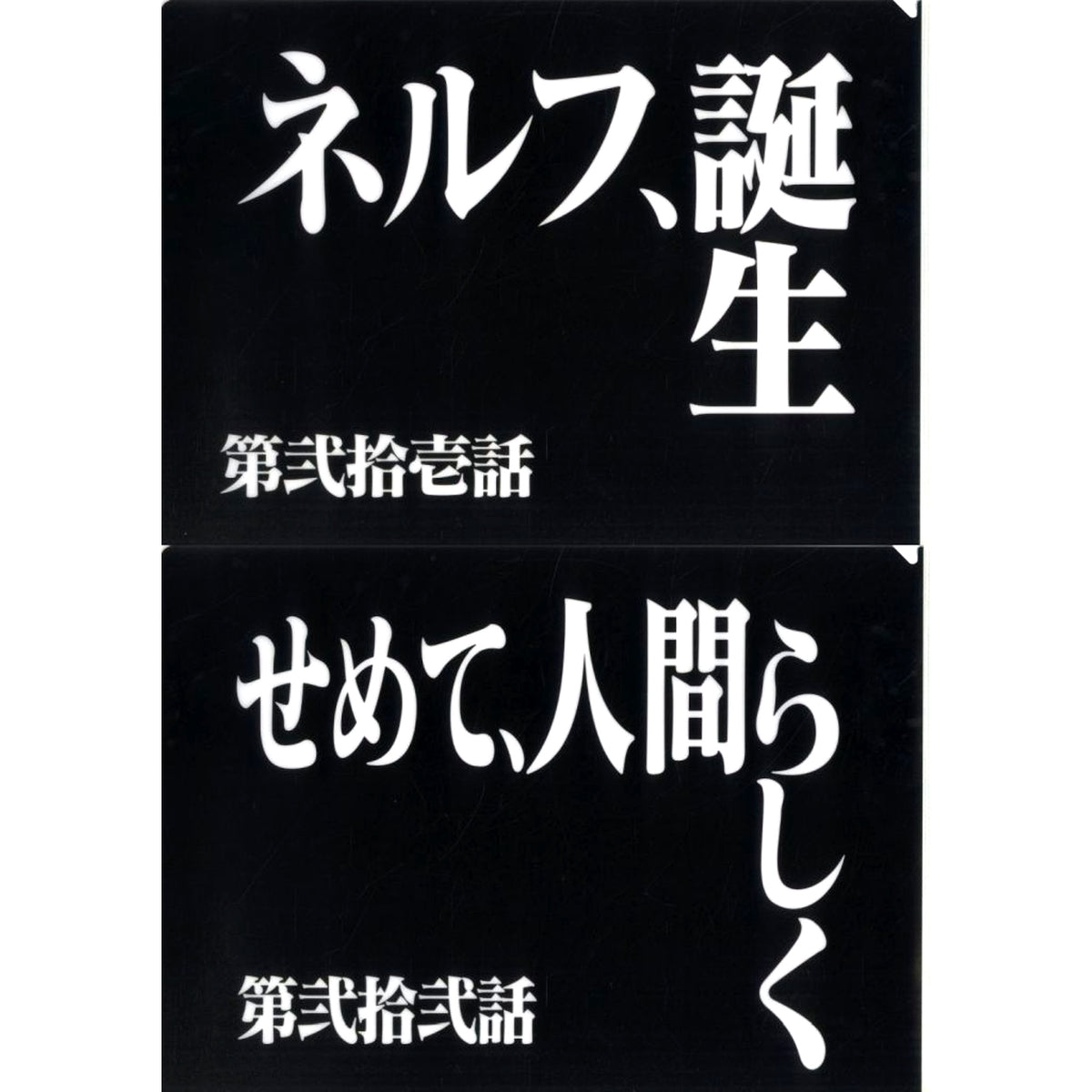Episode 21 and Episode 22 Clear File Set Ichiban Kuji Neon Genesis Evangelion 30th Anniv Prize G [USED]